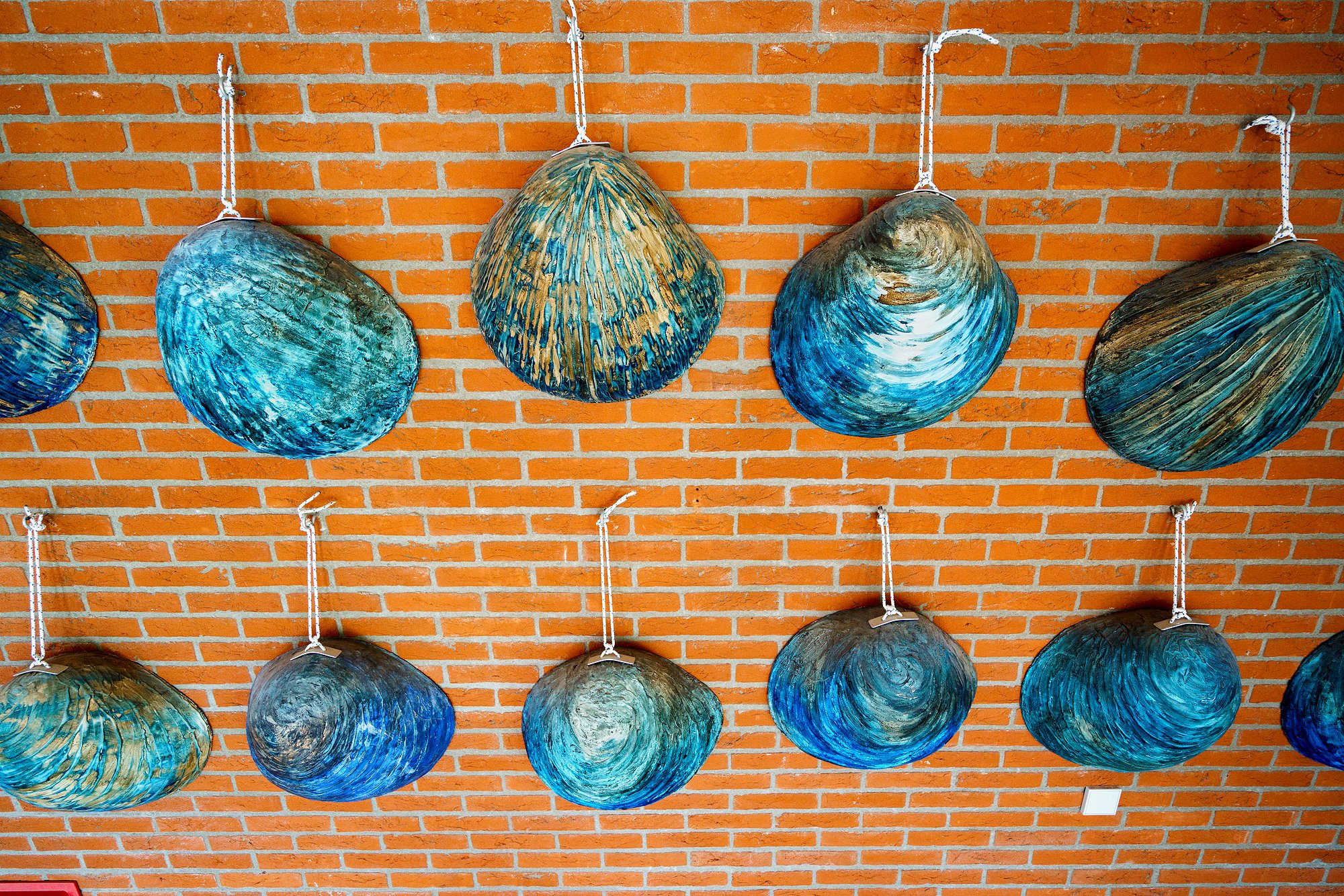 SVRZ Simnia muurdecoratie