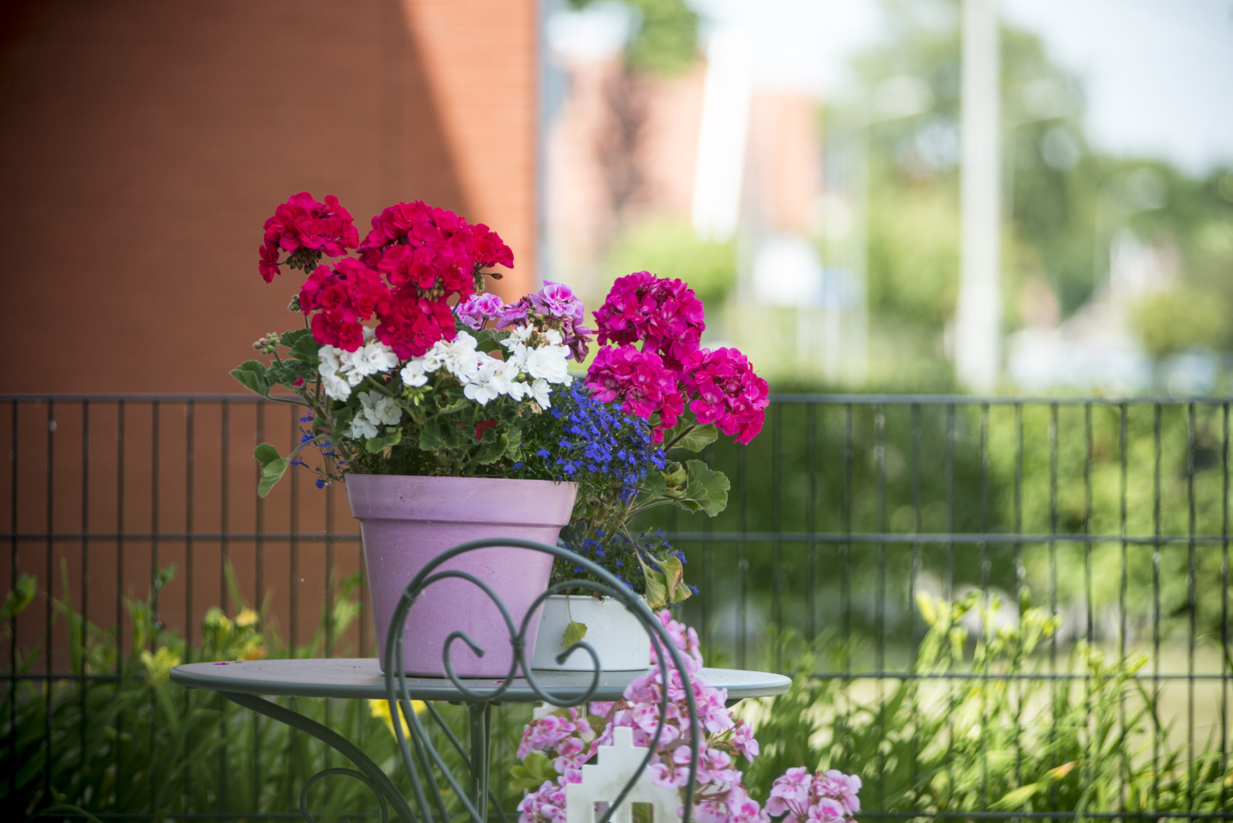 SVRZ Meuleweie gebouw