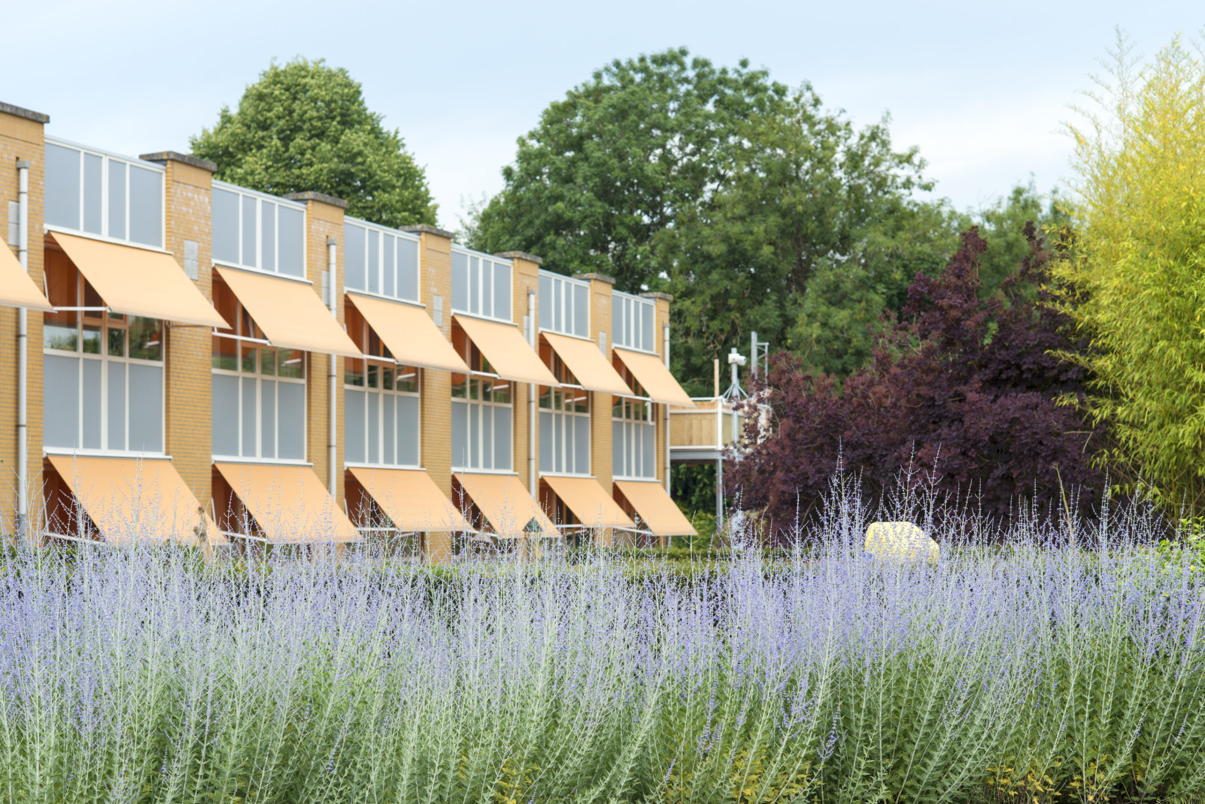 SVRZ de Vurrsche gebouw