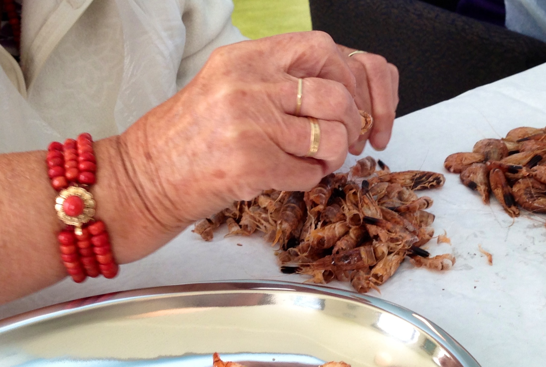 SVRZ Arnehoeve garnalen