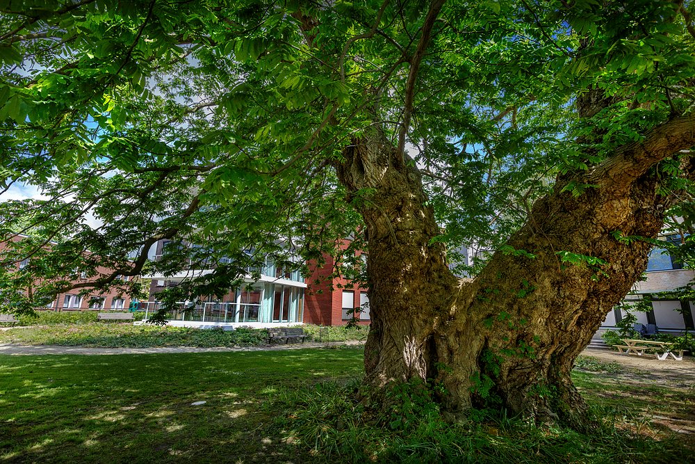 SVRZ Gasthuis client