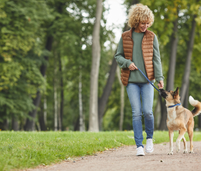 Vrouw laat haar hond uit
