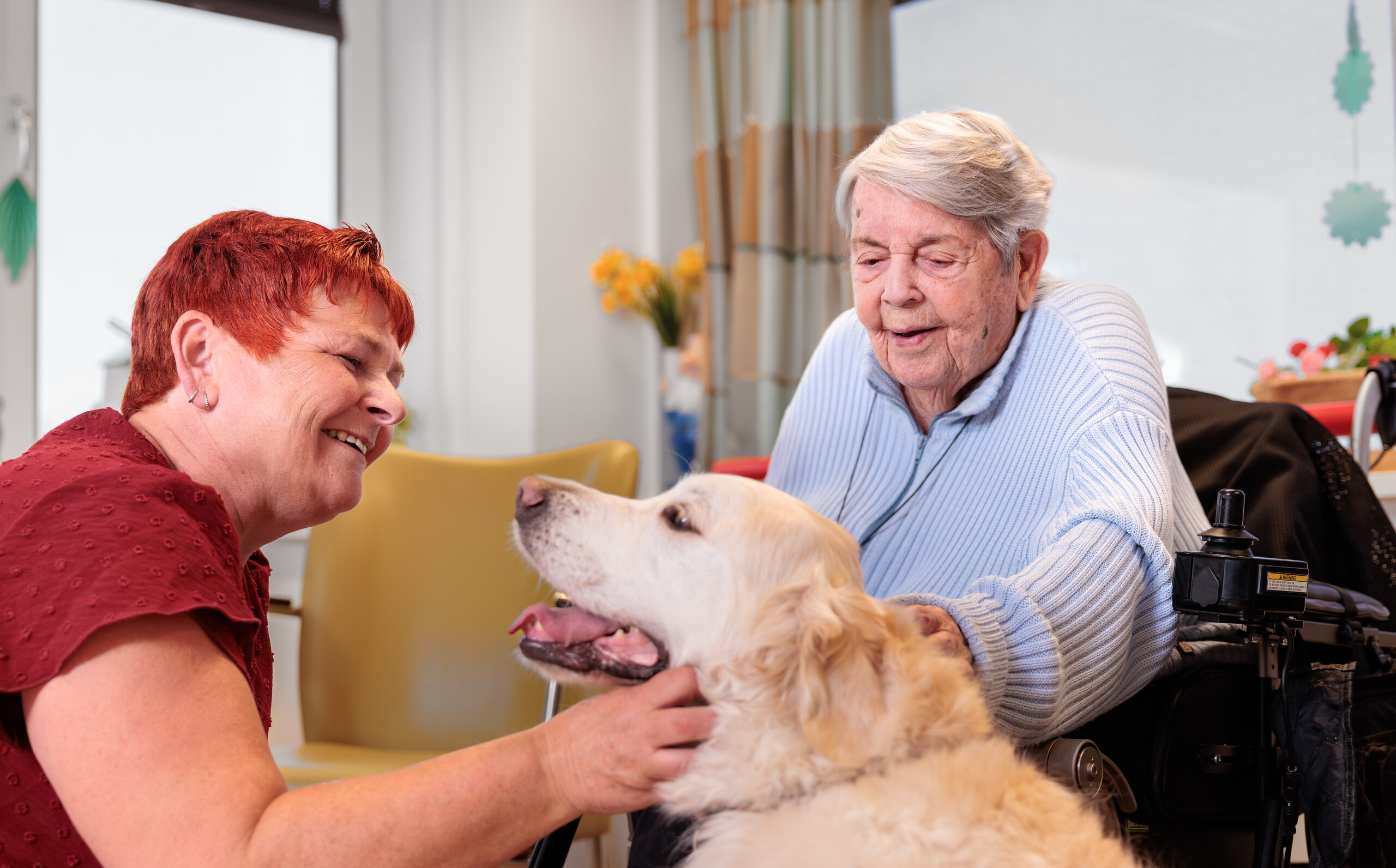 Twee dames aaien een golden retriever